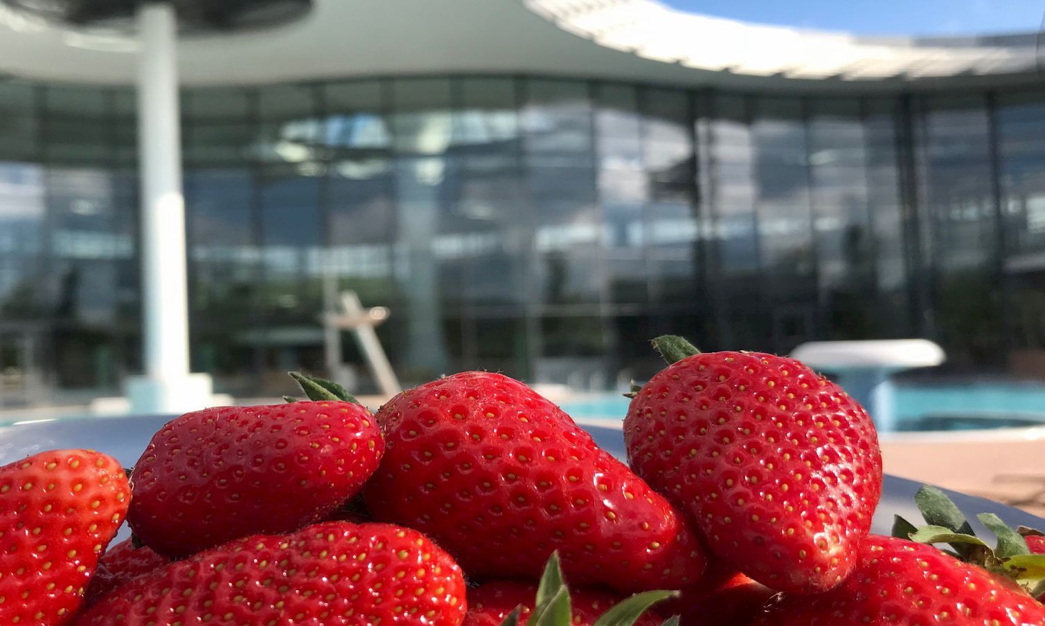 Kisssalis Erdbeerwellness Aussenbecken